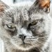 まだ炭水化物で消耗してるの？糖質制限体験後の感想！